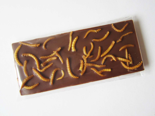 DSCHUNGELADE - Insektenschokolade 50g Tafel - Insektensnack