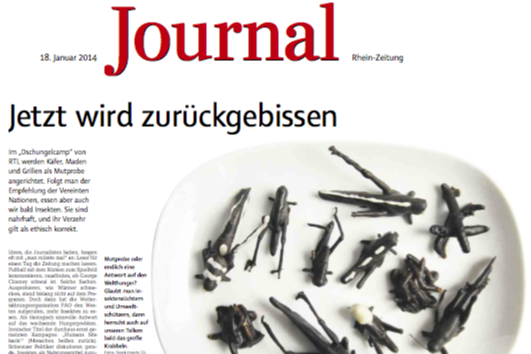 Snack-Insects in der Presse: Insekten kochen in der Rhein-Zeitung