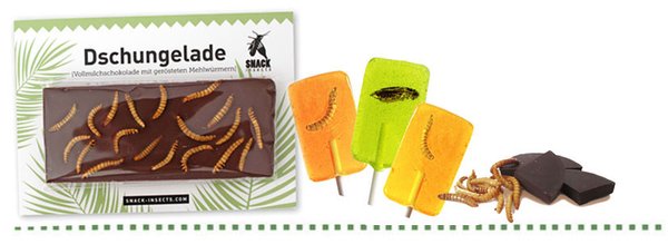 Insektenschokolade & Insektenlutscher kaufen - hier Insekten Schokolade und Insekten Lutscher bestellen