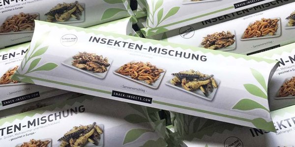 Wuestengarnele.de Insekten Snack Shop - Insektenmischung kaufen