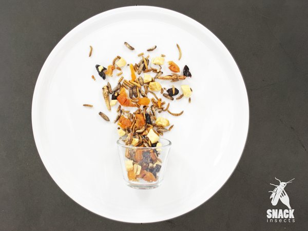 Insekten Studentenfutter - essbare Insekten Rezept - Insekten zum Essen richtig Kochen