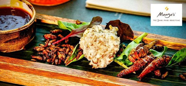 Insekten essen im Mongos Restaurant - essbare Insekten in der Gastronomie - Insekten-Restaurant