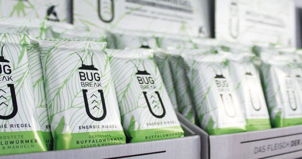Wuestengarnele.de Insekten Snack Shop - Bug-Break Insektenriegel kaufen