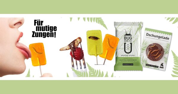 Wuestengarnele.de Insekten Snack Shop - Insektensnacks bestellen und kaufen