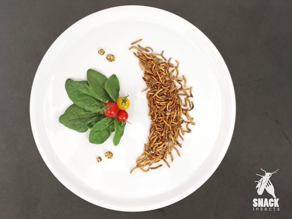 Gesalzene Mehlwürmer - essbare Insekten Rezept - Insekten zum Essen richtig Kochen