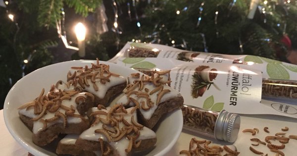 Wuestengarnele.de Insekten Snack Shop wünscht frohe Weihnachten