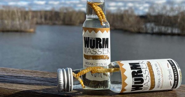 Wuestengarnele.de Insekten Snack Shop - Wurmwasser Wodka mit echtem Wurm