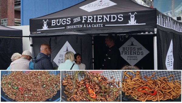 Bugs & Freinds - Insekten zum Essen auf Streetfood Märkten