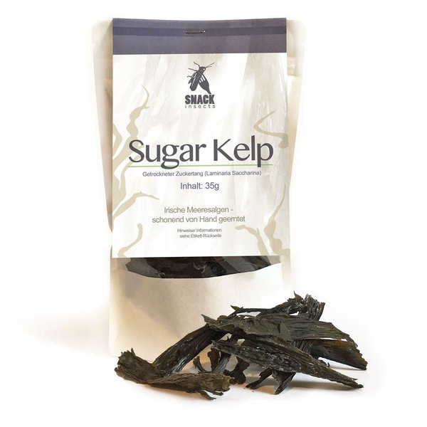 Sugar Kelp Algen - 35g getr. Meeresalgen zum Kochen & Essen